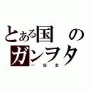 とある国のガンヲタ（一応女）