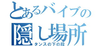 とあるバイブの隠し場所（タンスの下の段）