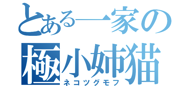 とある一家の極小姉猫（ネコツグモフ）