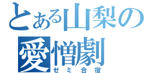 とある山梨の愛憎劇（ゼミ合宿）