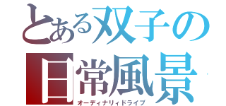 とある双子の日常風景（オーディナリィドライブ）