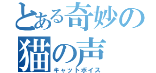 とある奇妙の猫の声（キャットボイス）