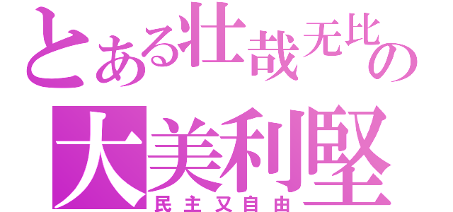 とある壮哉无比の大美利堅（民主又自由）