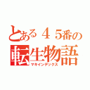 とある４５番の転生物語（マキインデックス）