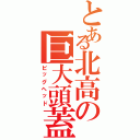 とある北高の巨大頭蓋（ビッグヘッド）