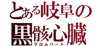 とある岐阜の黒骸心臓（クロムハート）