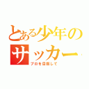 とある少年のサッカー伝説（プロを目指して）