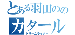 とある羽田ののカタール便（ドリームライナー）