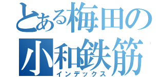 とある梅田の小和鉄筋（インデックス）