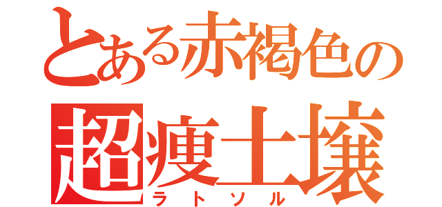 とある赤褐色の超痩土壌（ラトソル）