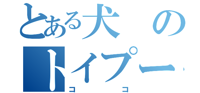 とある犬のトイプードル（ココ）