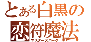 とある白黒の恋符魔法（マスタースパーク）