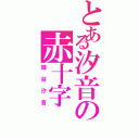 とある汐音の赤十字Ⅱ（端谷汐音）