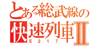 とある総武線の快速列車Ⅱ（Ｅ２１７）