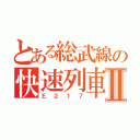 とある総武線の快速列車Ⅱ（Ｅ２１７）