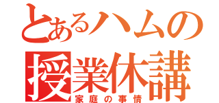 とあるハムの授業休講（家庭の事情）