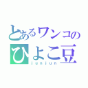 とあるワンコのひよこ豆（ｊｕｎｊｕｎ）