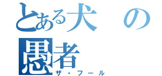 とある犬の愚者（ザ・フール）