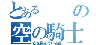 とあるの空の騎士（空を飛んでいる黒）