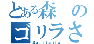 とある森のゴリラさん（Ｂｕｒｉｔａｎｉａ）