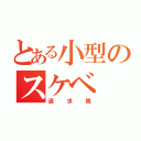 とある小型のスケベ（追求隊）