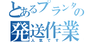 とあるプランタンの発送作業（人気です）