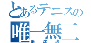 とあるテニスの唯一無二（庭球魂）