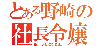 とある野崎の社長令嬢（服、しわになるよ。）