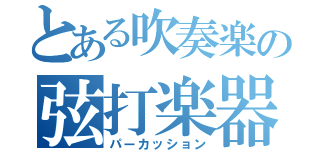 とある吹奏楽の弦打楽器（パーカッション）