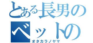 とある長男のベットの下の（オタカラノヤマ）