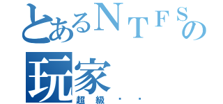 とあるＮＴＦＳの玩家（超級垃圾）