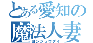 とある愛知の魔法人妻（ヨンジュウダイ）