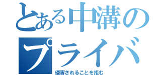 とある中溝のプライバシー（侵害されることを拒む）