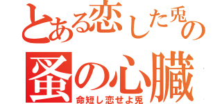 とある恋した兎の蚤の心臓（命短し恋せよ兎）