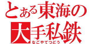 とある東海の大手私鉄（なごやてつどう）