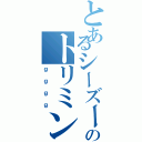 とあるシーズーのトリミングⅡ（ｇｇｇｇ）