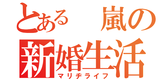 とある 嵐の新婚生活（マリヂライフ）