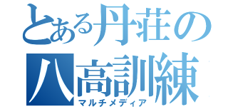 とある丹荘の八高訓練（マルチメディア）