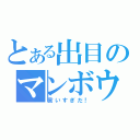 とある出目のマンボウ（言いすぎだ！）