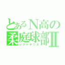 とあるＮ高の柔庭球部Ⅱ（ソフトテニス）