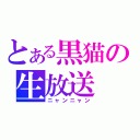 とある黒猫の生放送（ニャンニャン）