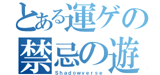 とある運ゲの禁忌の遊び（Ｓｈａｄｏｗｖｅｒｓｅ）