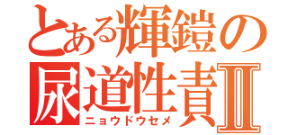 とある輝鎧の尿道性責Ⅱ（ニョウドウセメ）