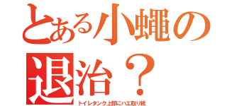 とある小蠅の退治？（トイレタンク上部にハエ取り紙）