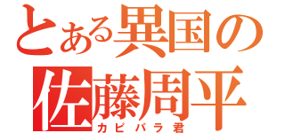 とある異国の佐藤周平（カピパラ君）