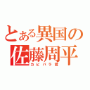 とある異国の佐藤周平（カピパラ君）