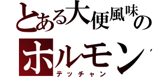 とある大便風味のホルモン（テッチャン）