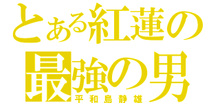 とある紅蓮の最強の男（平和島静雄）