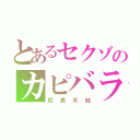 とあるセクゾのカピバラ（松島天結）