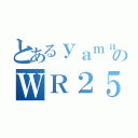 とあるｙａｍａｈａのＷＲ２５０Ｘ（）